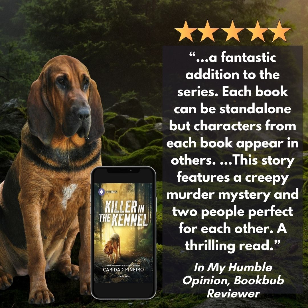 romantic suspense