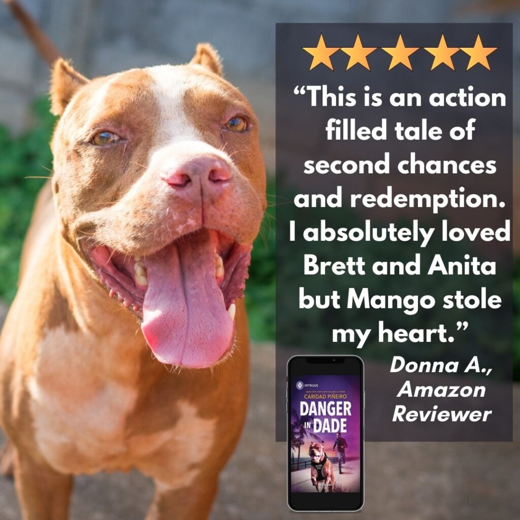 danger in dade review