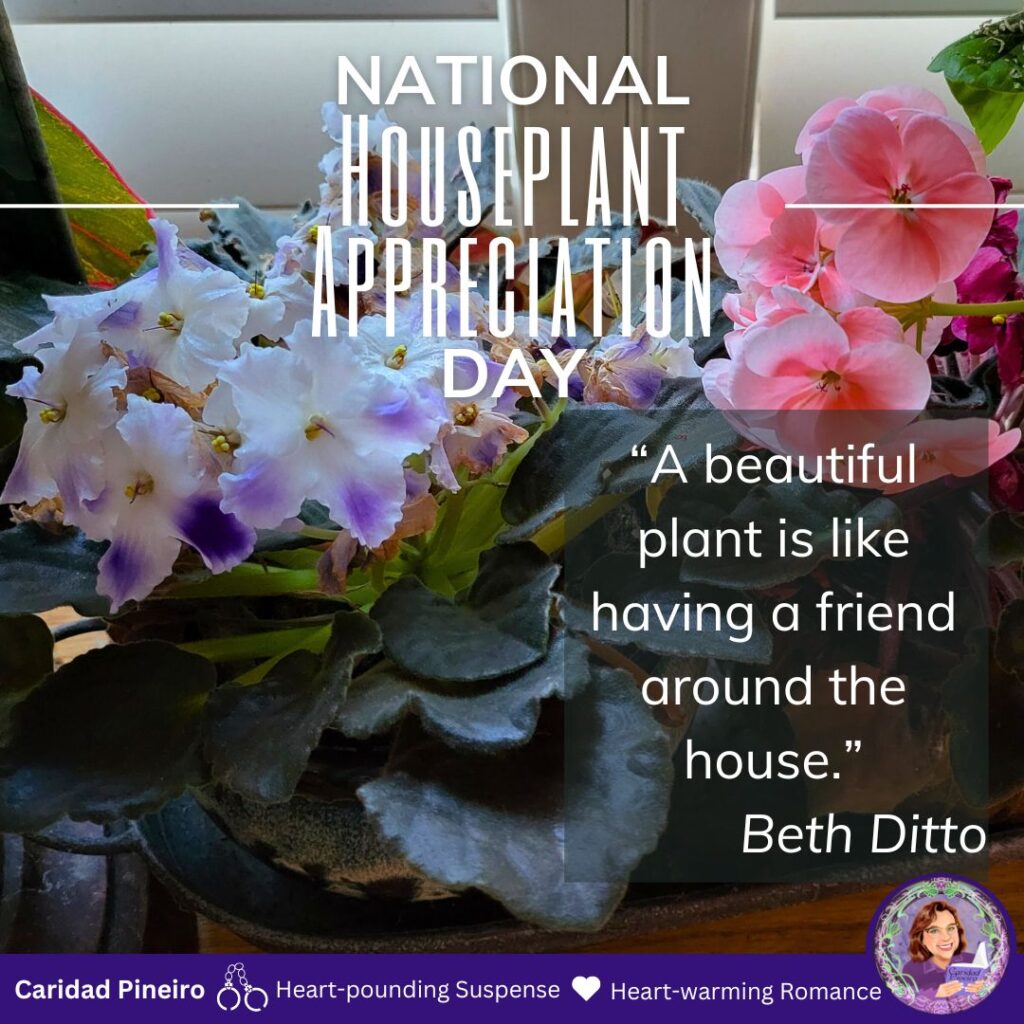 houseplant