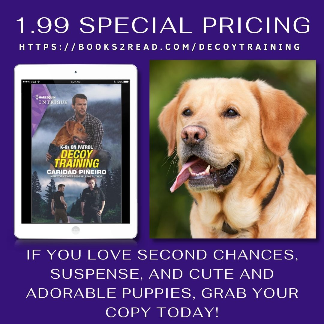 romantic suspense