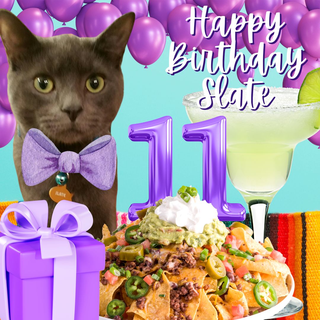 happy cinco de mayo