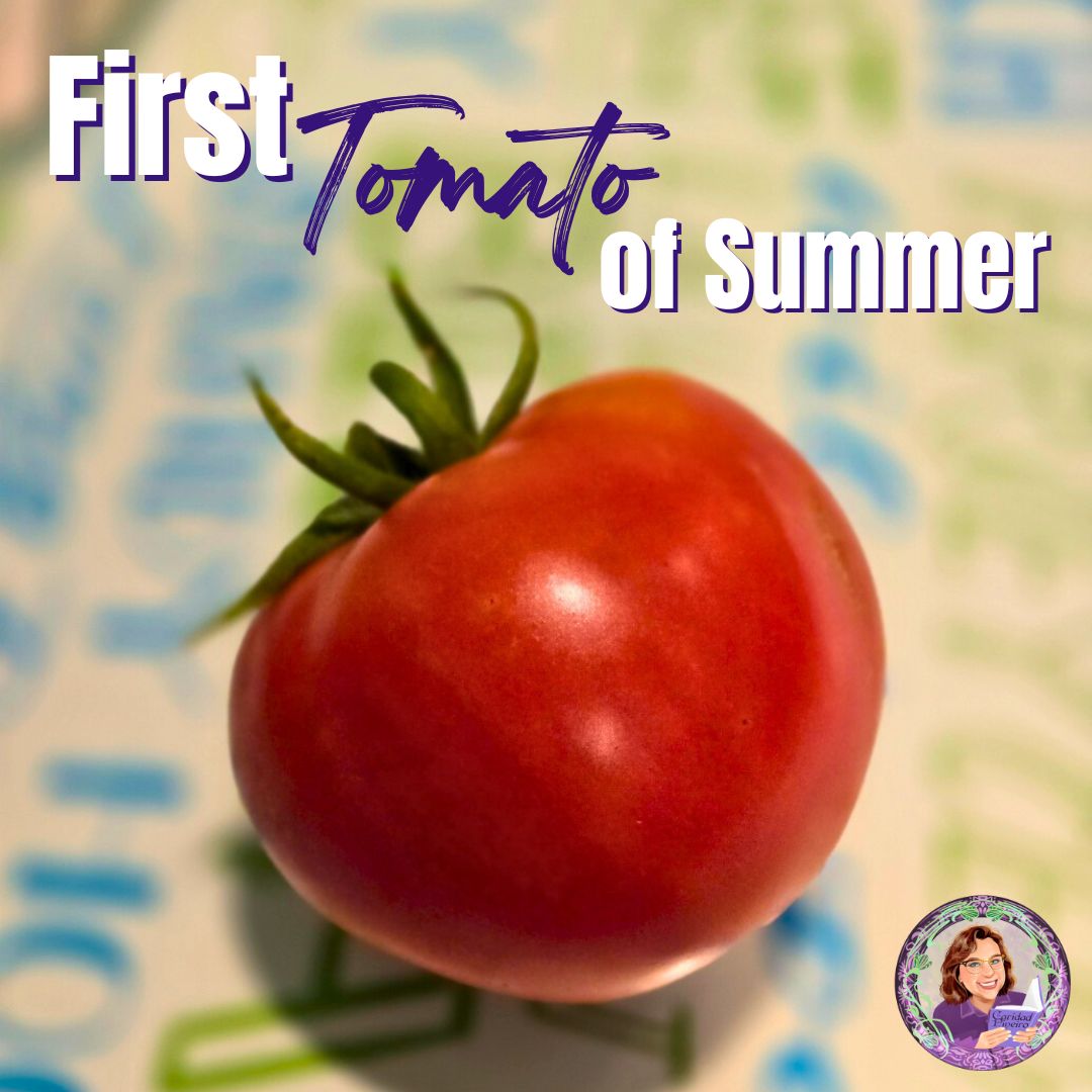 first tomato of summer
