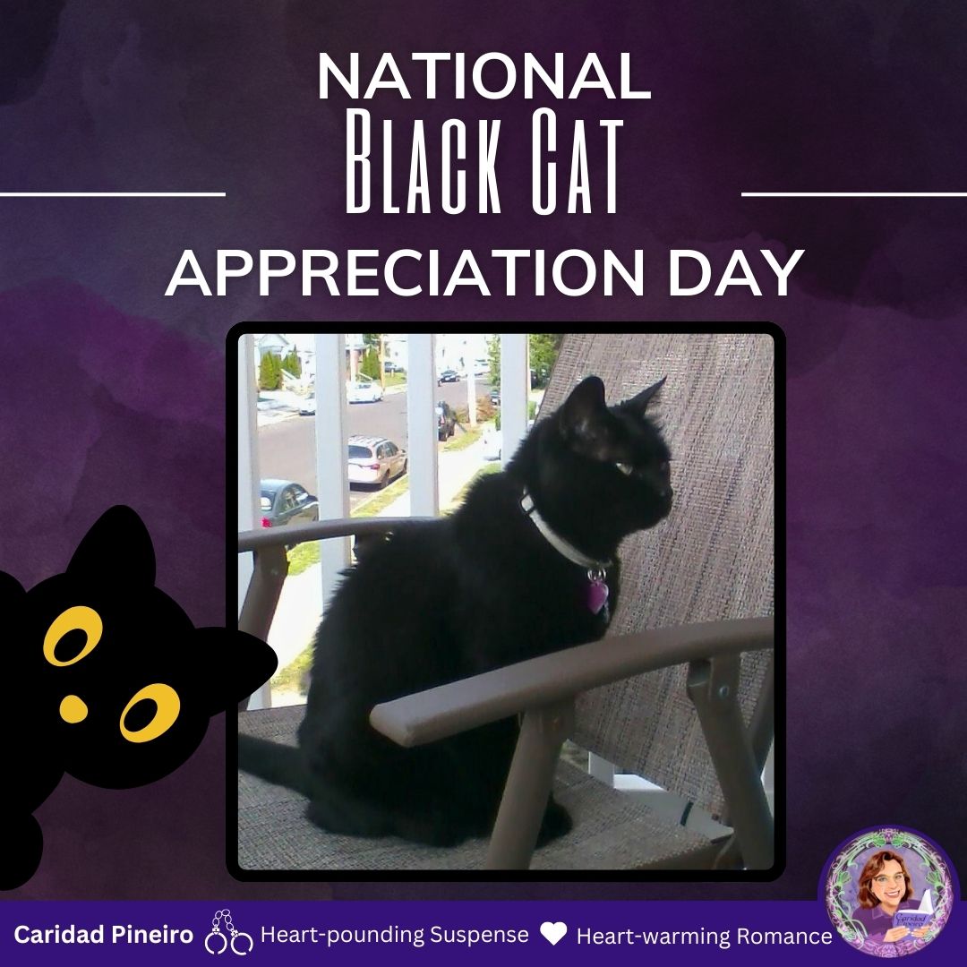 black cat