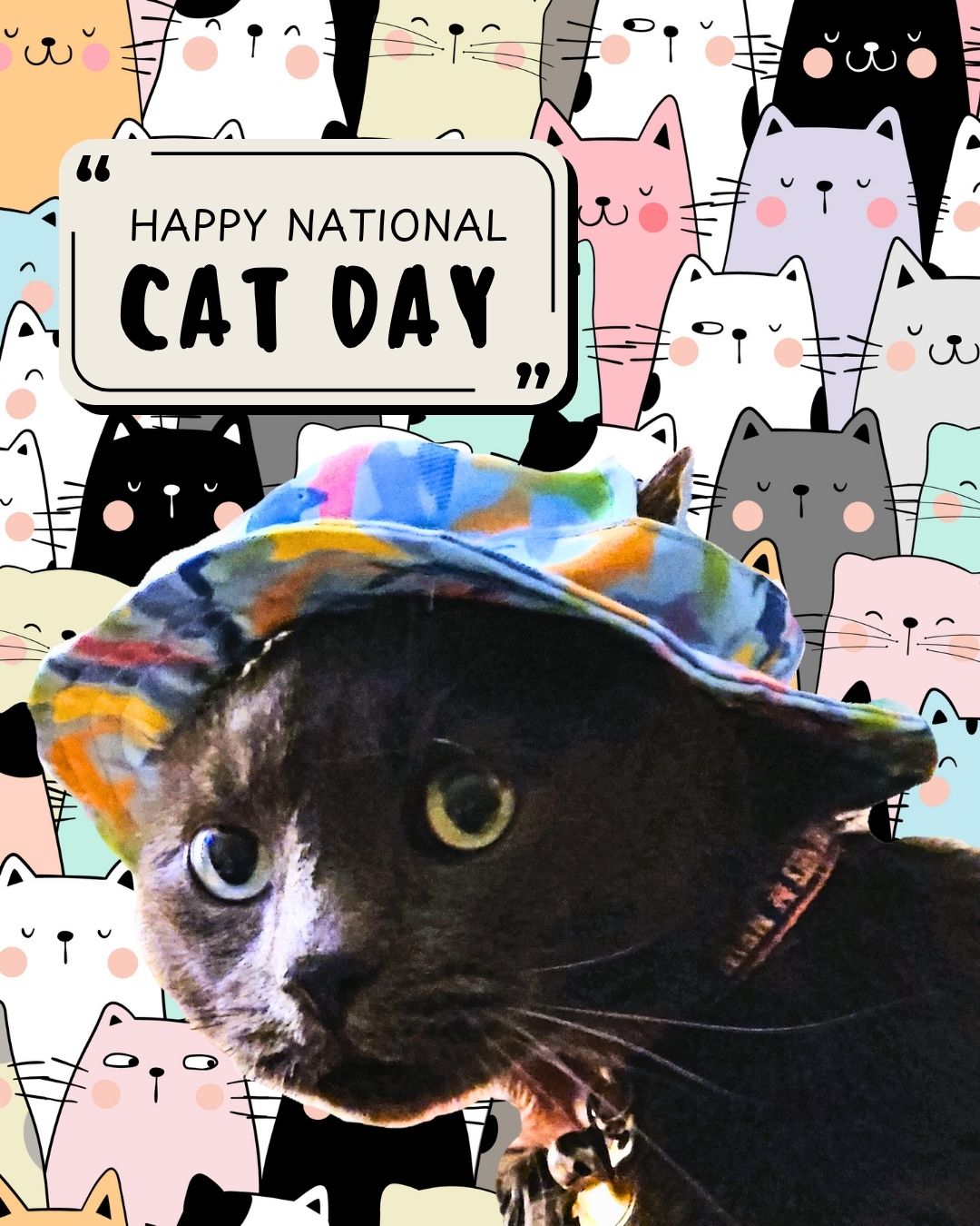 National Cat Day