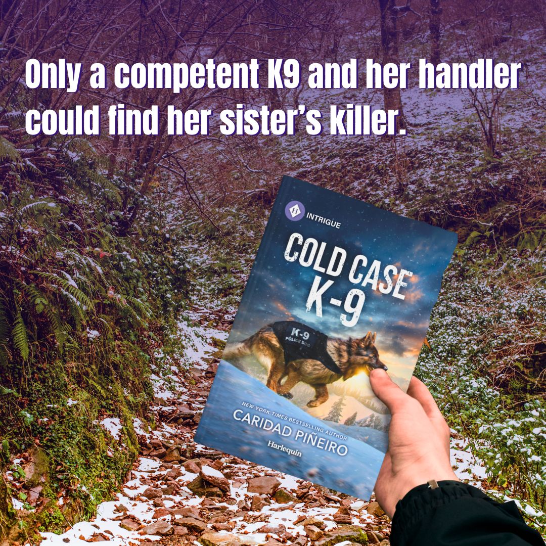 romantic suspense