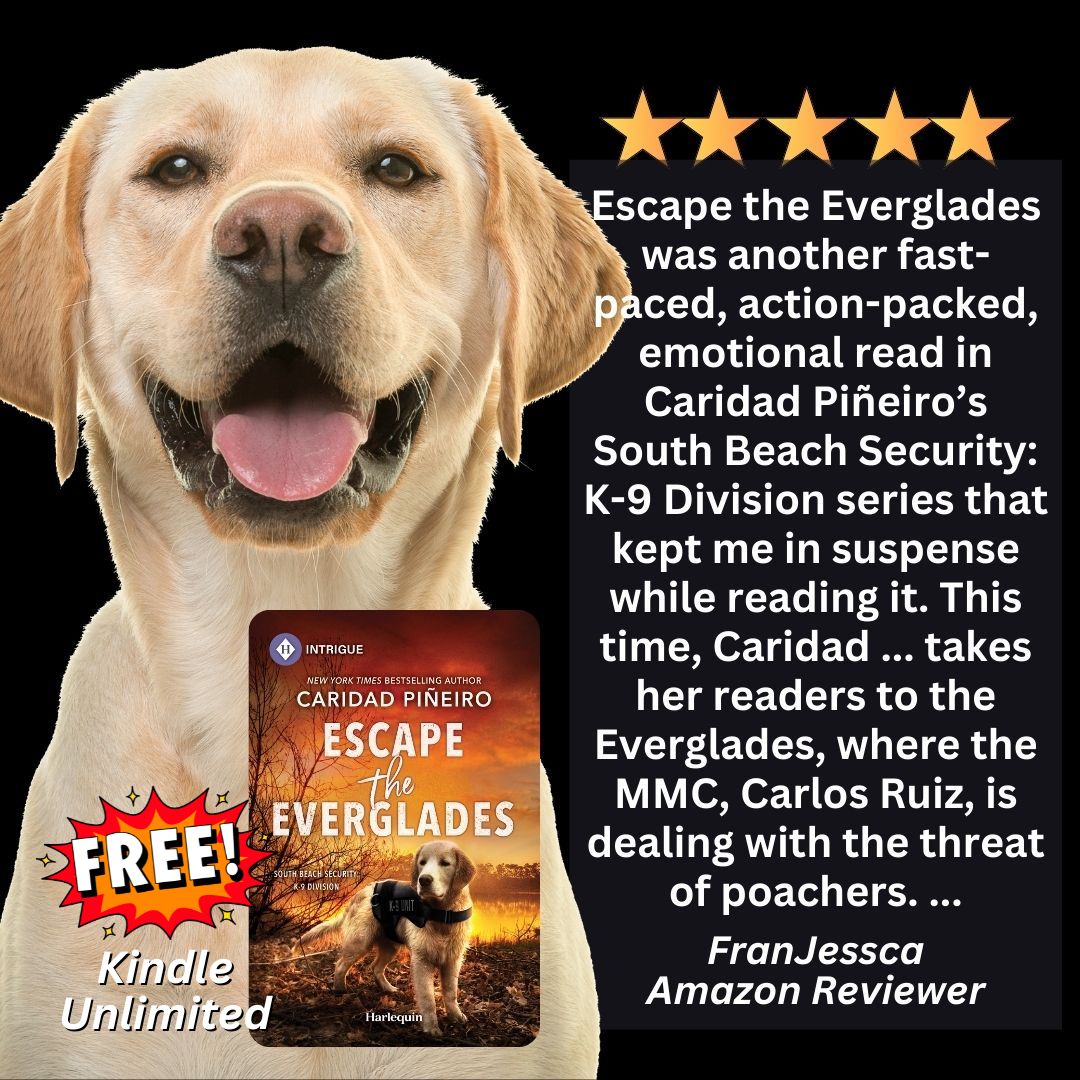 romantic suspense