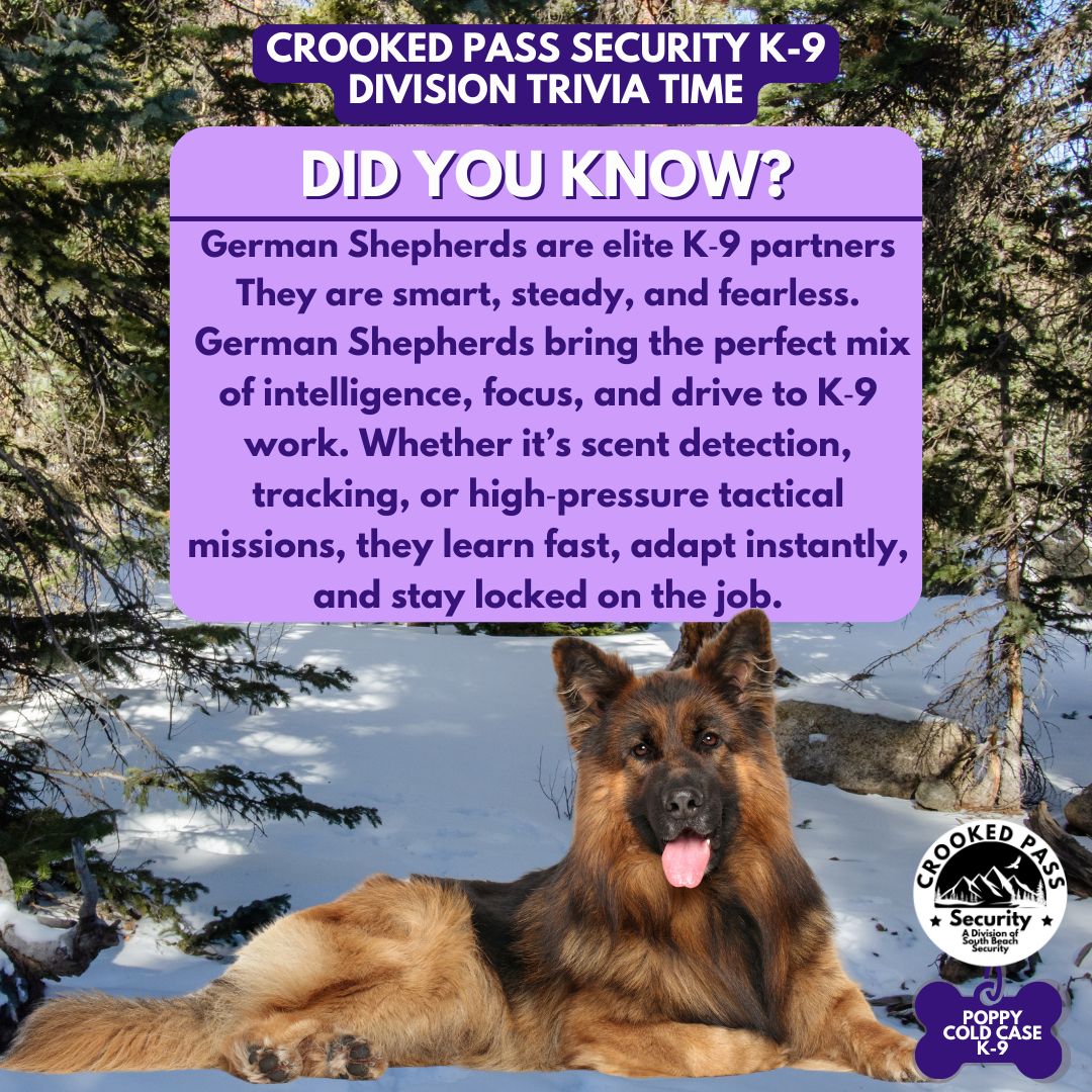 did you know trivia
