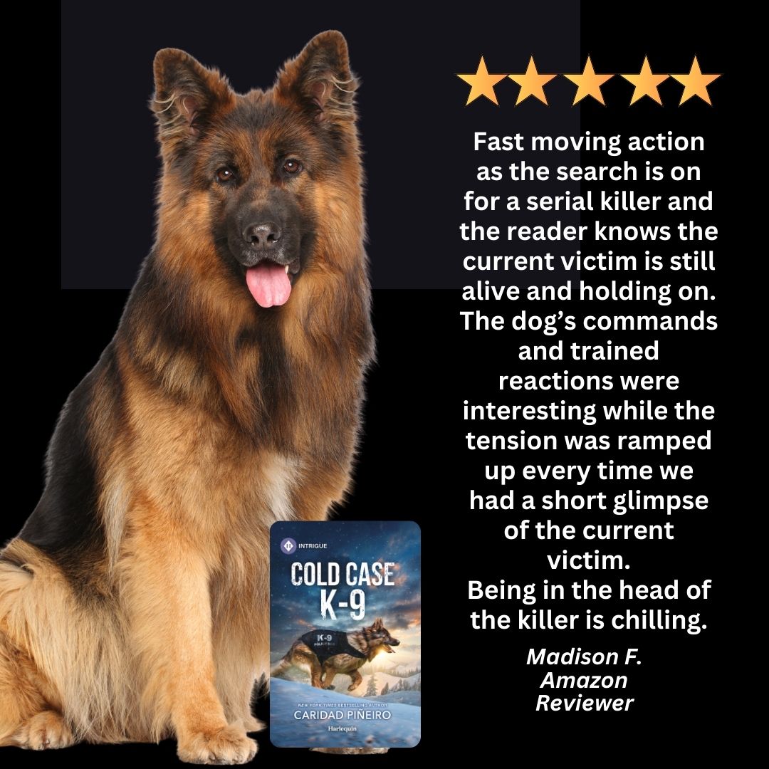 romantic suspense