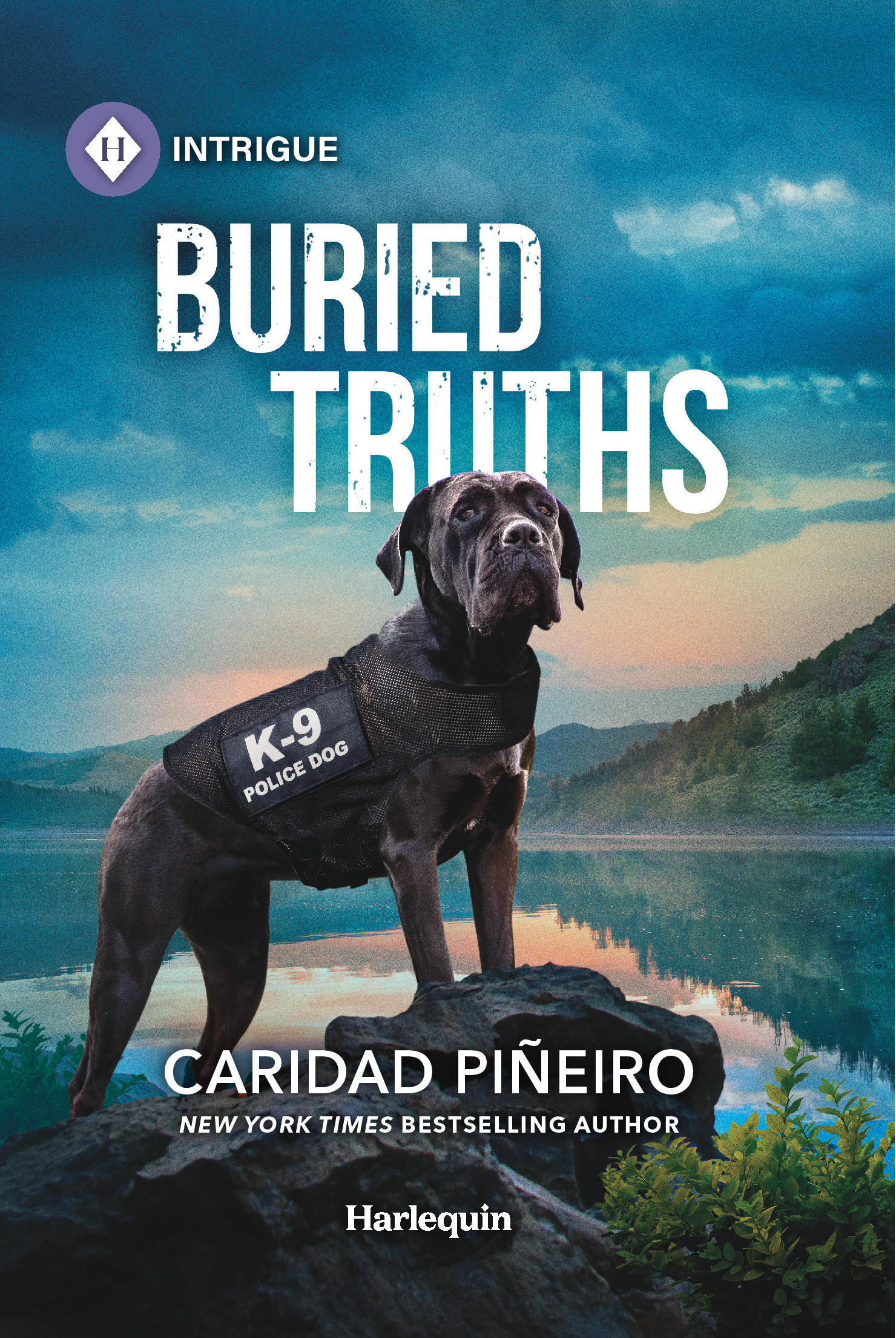 romantic suspense series