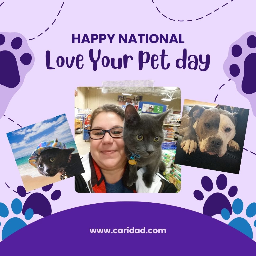 love your pet day