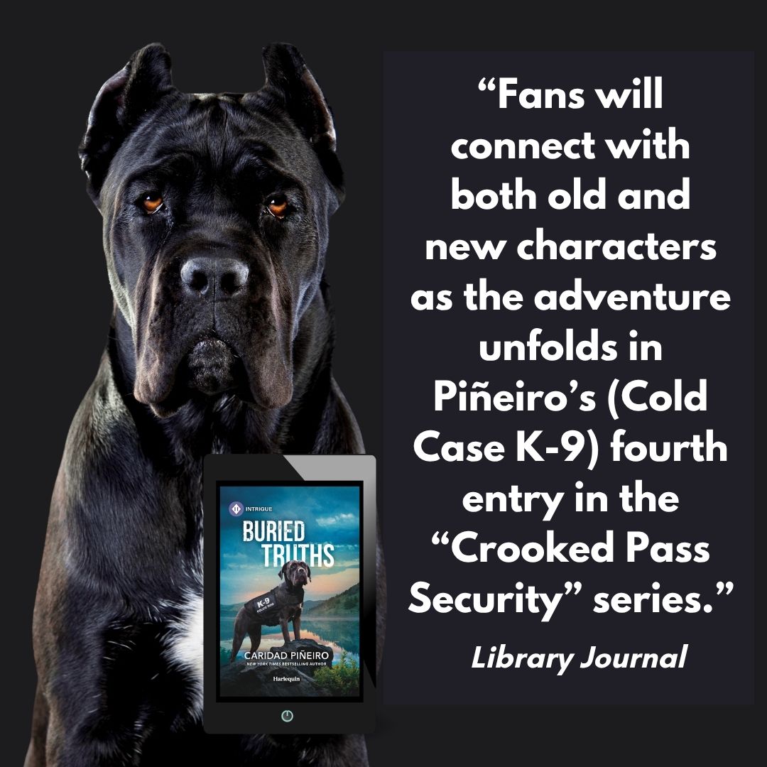romantic suspense