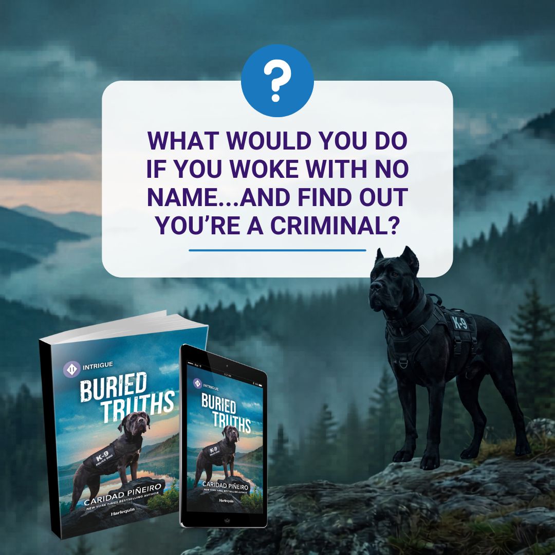 romantic suspense