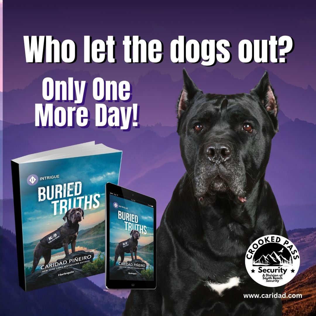 romantic suspense