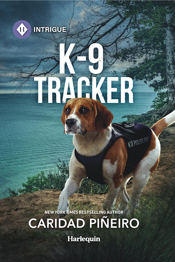 romantic suspense series