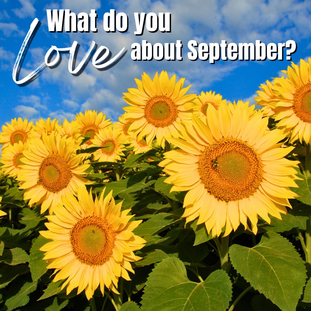 september love