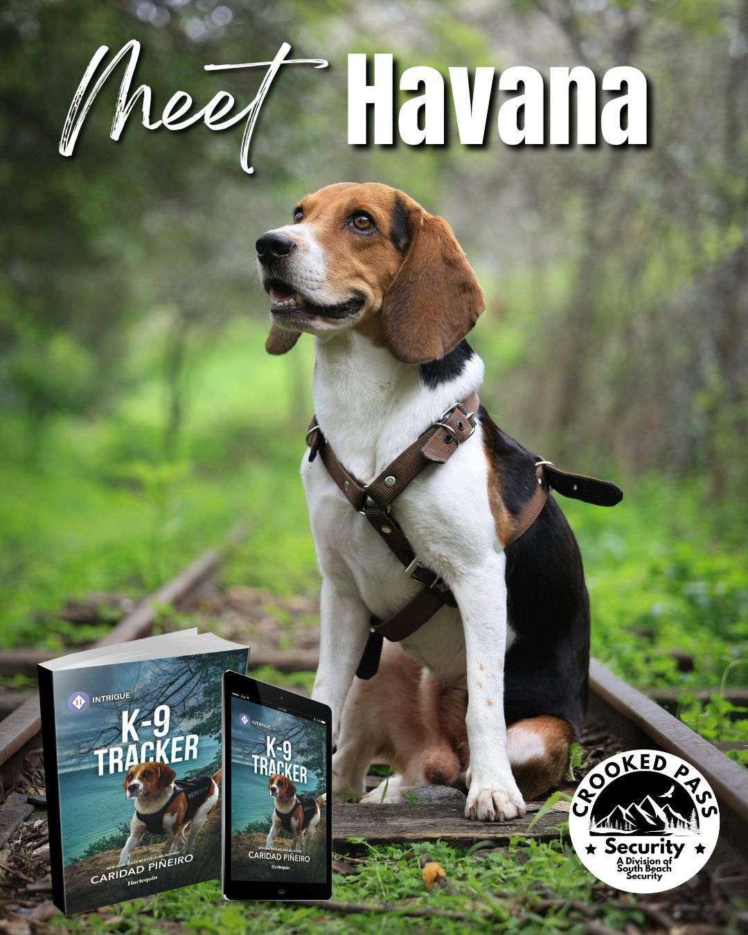romantic suspense