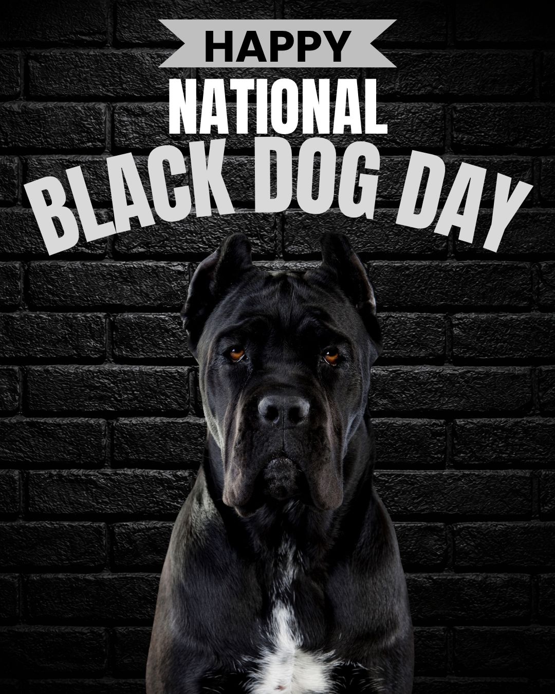 black dog K-9 romance